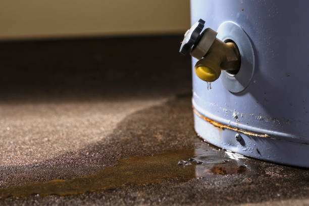 Trusted NE Water damage restoration Experts