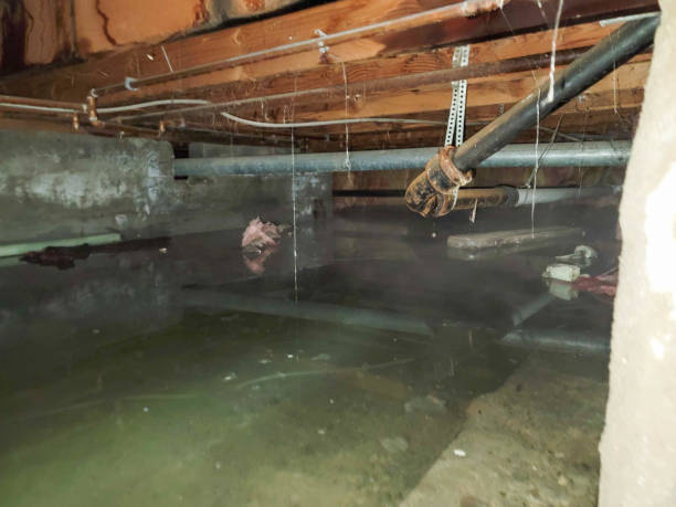 Water damage restoration insurance claims in NE