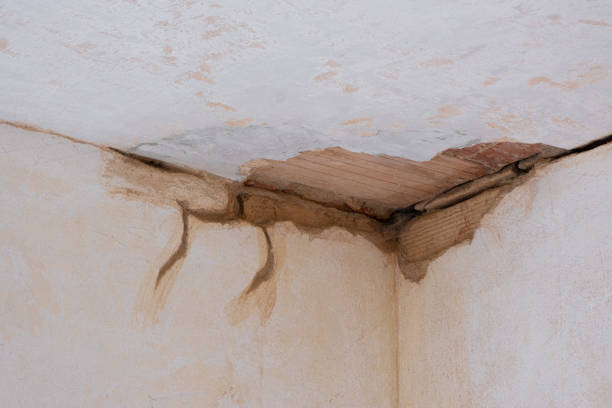 Best Emergency water damage restoration  in Cambridge, NE