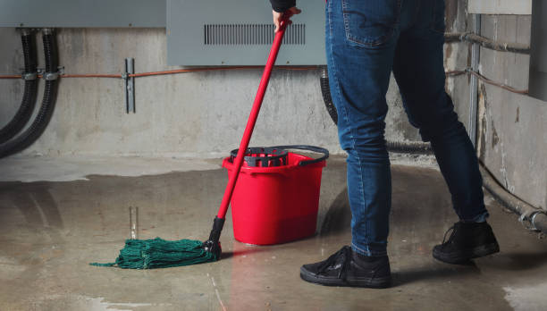 Best Residential water damage restoration  in Cambridge, NE