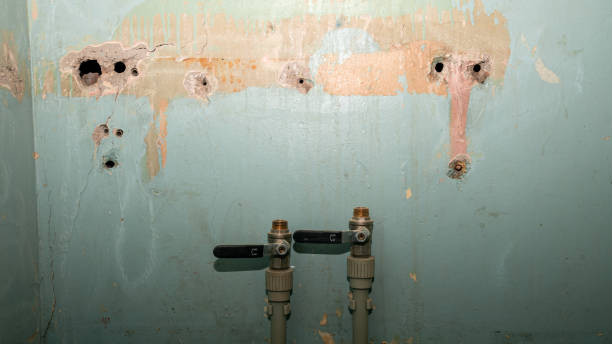 Best Mold removal after water damage  in Cambridge, NE