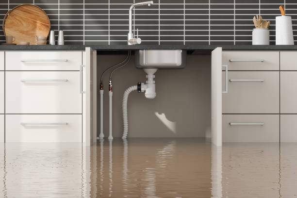 Best Ceiling water damage repair  in Cambridge, NE